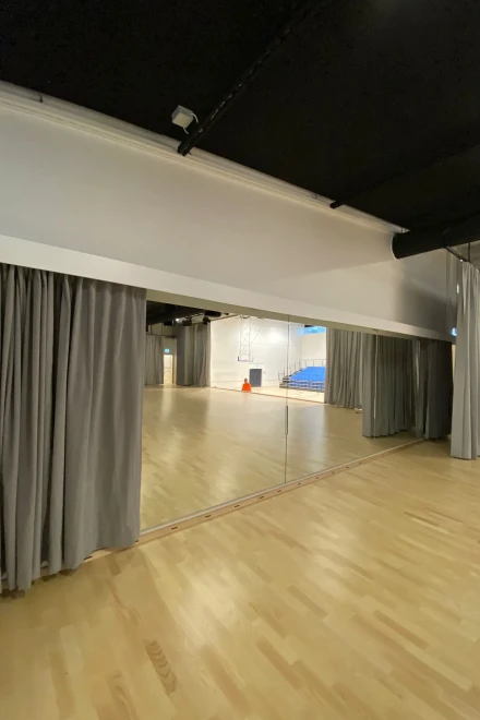 Peiliverho tanssisalissa - Pedelux